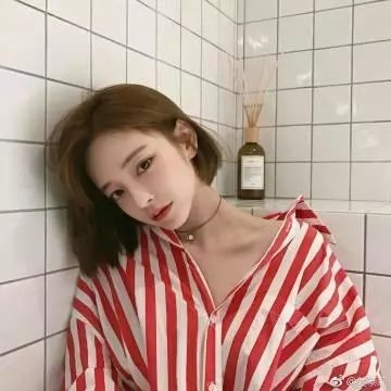 战地莺花